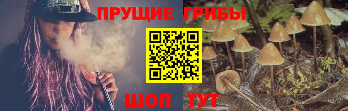Псилоцибиновые грибы Psilocybine cubensis  Вход с VPN  Жуковский 